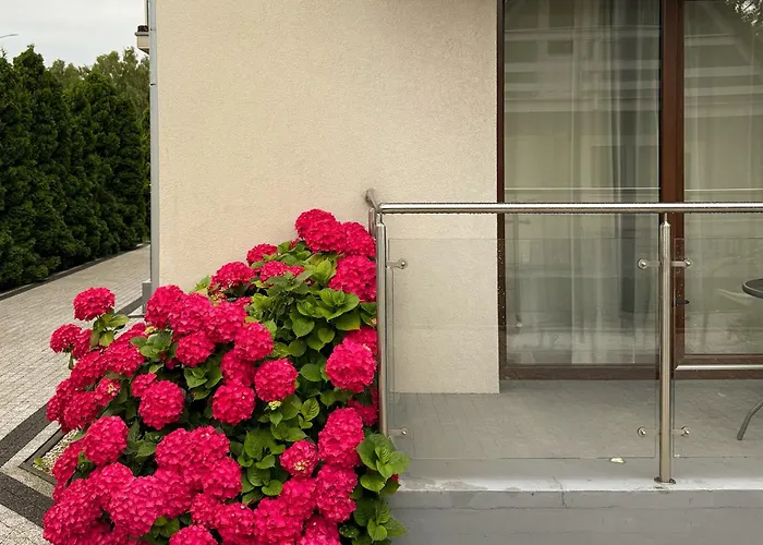 Horn 亚斯塔尔尼亚